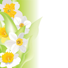 Flowers background. Floral wallapper with copy space.