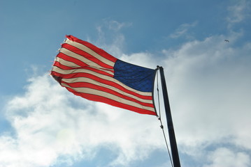 usa bandiera flag america