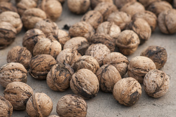 walnuts