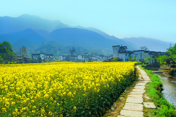 Rural landscape in wuyuan county, jiangxi province, china.