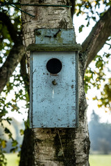 Bird house