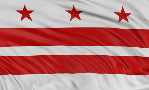 3D Washington  Flag