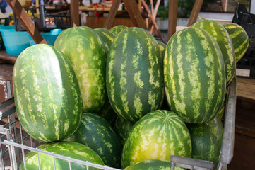 watermelons