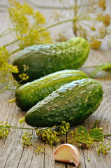 Fresh cucumbers