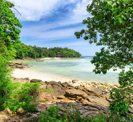 Tropical landscape. Phi-phi island, Thailand