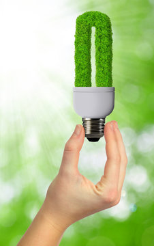 eco energy bulb in hand on green background