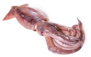 Calamar crudo