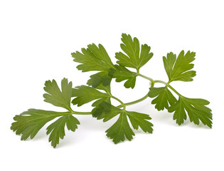 parsley