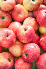Fototapeta na wymiar Many colorful fresh red apples