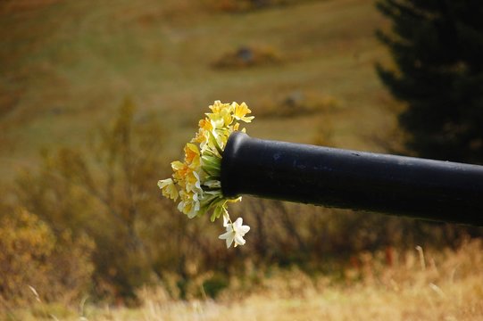Val Duron-Fiori nel cannone