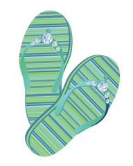 Beach slippers. Vector.