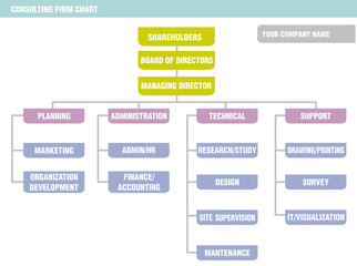 Organization Chart: consulting firm