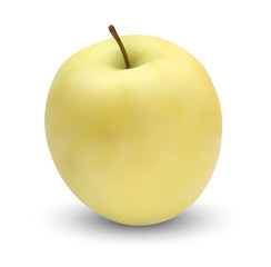 realistic vector mesh apple