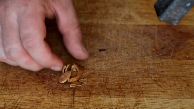 Broken peach stone with hammer
