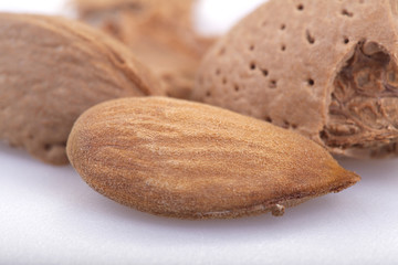 almond isolated on white background
