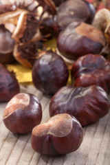 pile of chestnuts on a wooden table