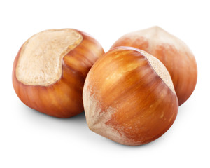 Nuts filberts