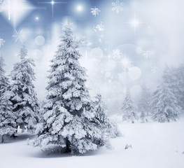 Obraz premium Christmas background with snowy firs