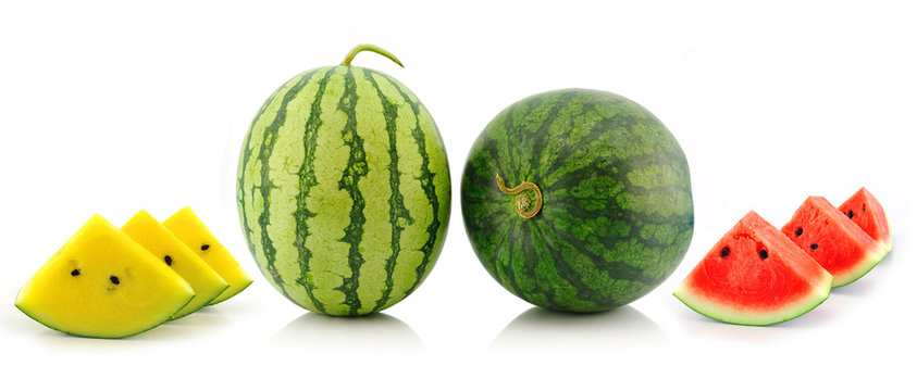 yellow red water melon on white background