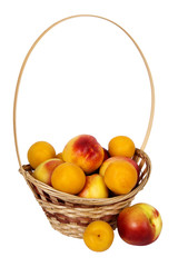nectarines and apricots in basket