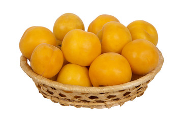basket with apricots