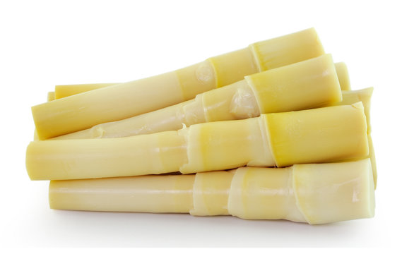 Bamboo Shoot On White Background