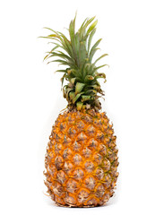 ripe pineapple on a white background