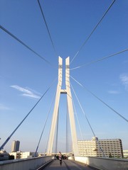 橋