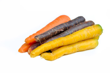 carottes aux couleurs panachées