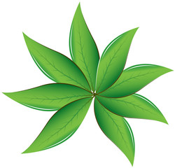 Tea leaves Vector illustration