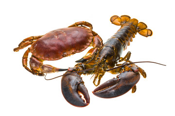 Raw Lobster and Crab