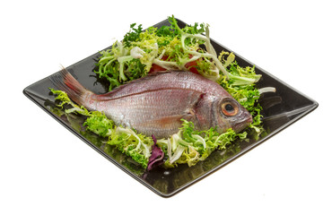 Raw Sea Perch