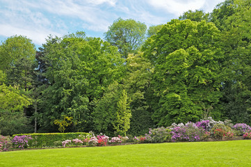 Fototapeta na wymiar park w Brukseli, Belgia, z rododendronów