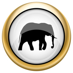 Elephant icon