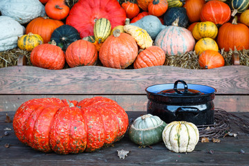 Pumpkins next to a cooking pot