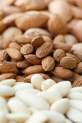 Almonds - mandorle
