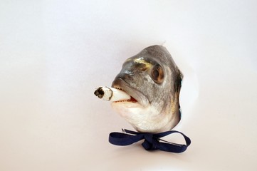 pesce con la sigaretta in bocca