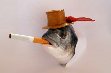 Pesce con cappello e sigaretta