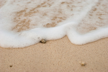 Coral fragments on the beaches
