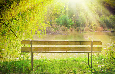 Bank im Sonnenschein am See