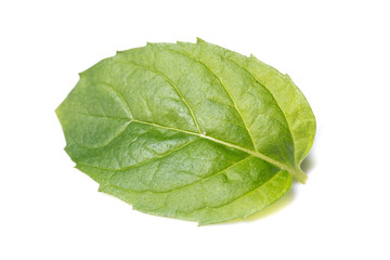Fresh mint leafs isolated on white