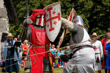 Fight of medieval knights