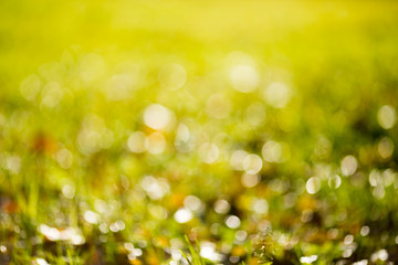 Fototapeta premium Autumn bokeh.