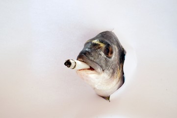 Il pesce fumatore