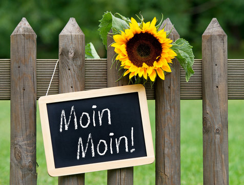 Moin Moin