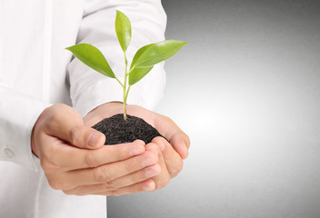  green plant in hand