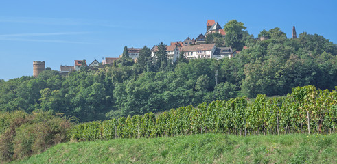 Neuleiningen an der deutschen Weinstrasse und Pfälzer Wald