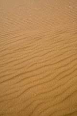 Fototapeta na wymiar Red sand dune in Sossusvlei