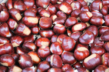 Esskastanien