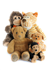 group of teddy toys